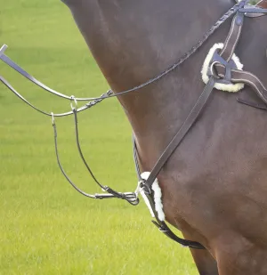 Avignon 5 Point Breastplate