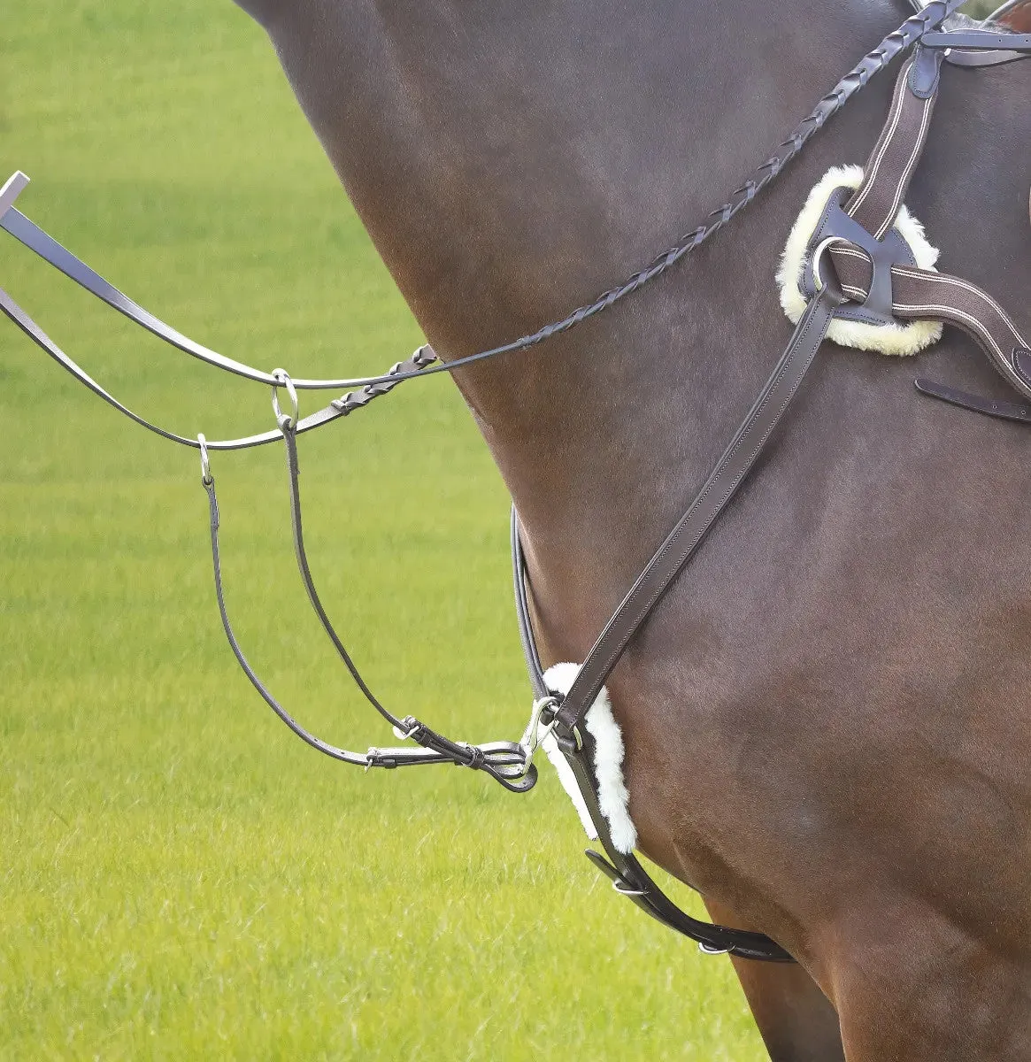 Avignon 5 Point Breastplate