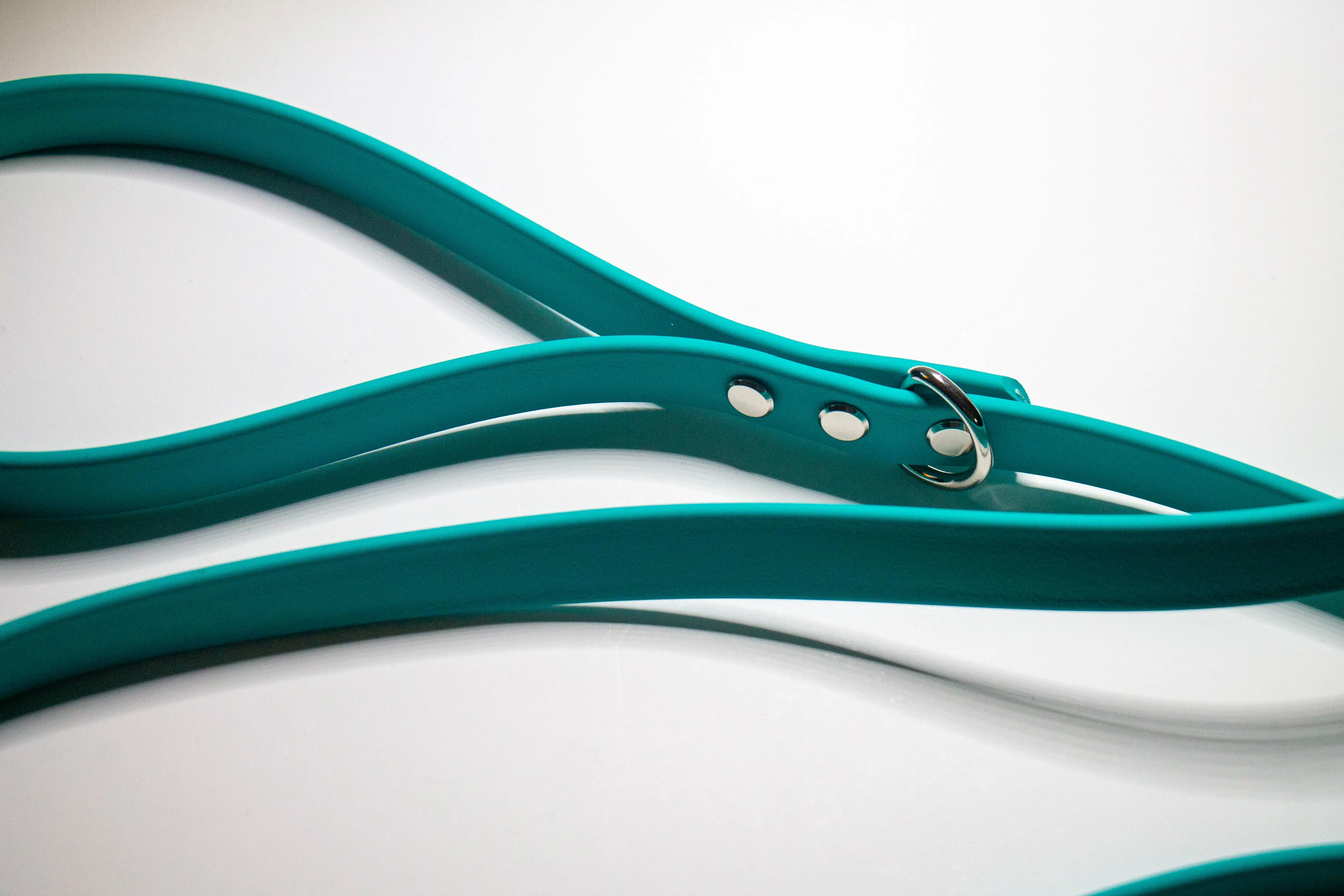 Biothane Waterproof Leash- 3/4 inch  | Medium - XL Dogs