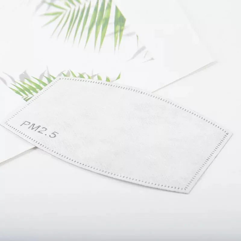 BLACK WASHABLE MASK   10 FILTERS PM 2.5