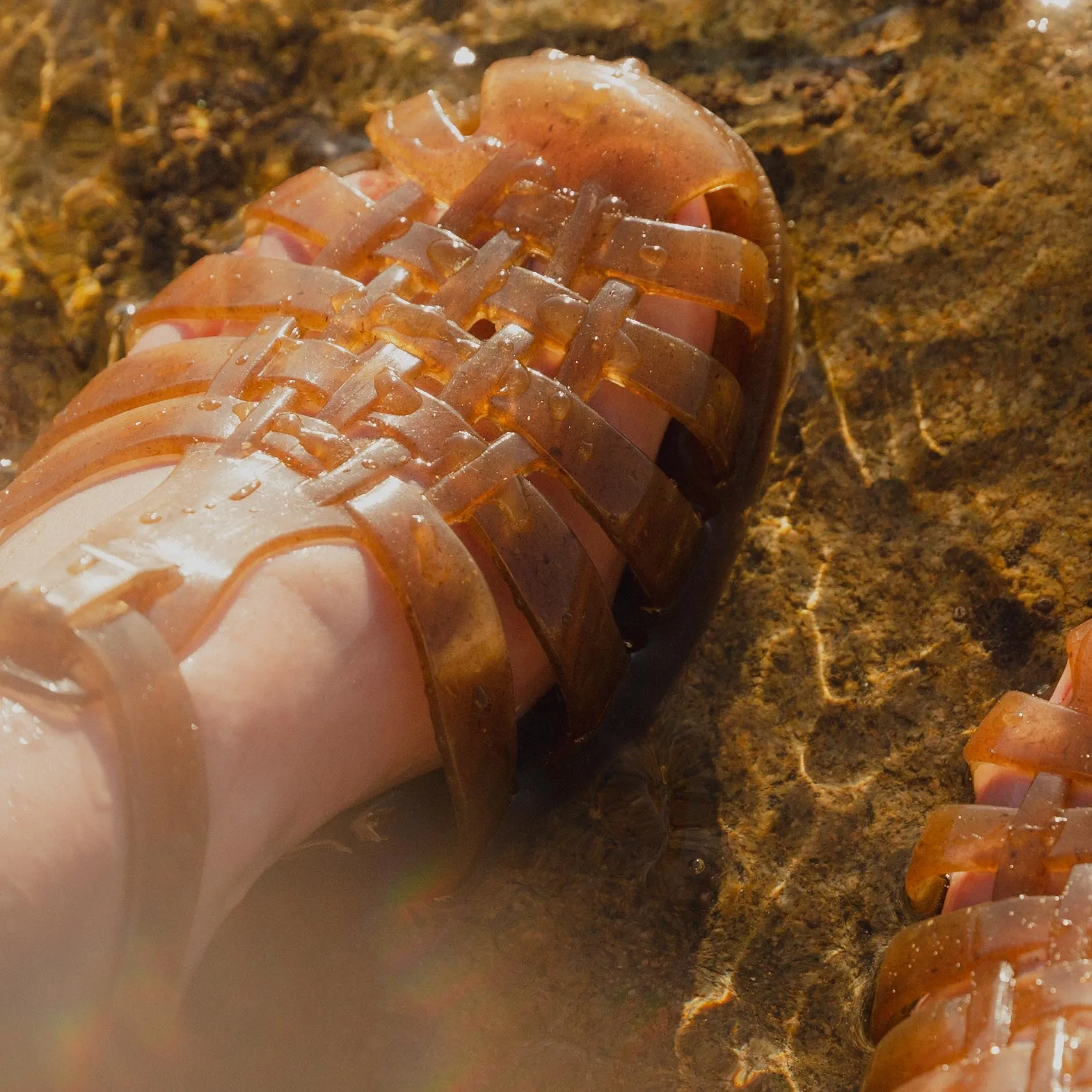 Plasticana Sandana Jellies
