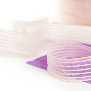 RP Mesh Pointe Shoe Elastic