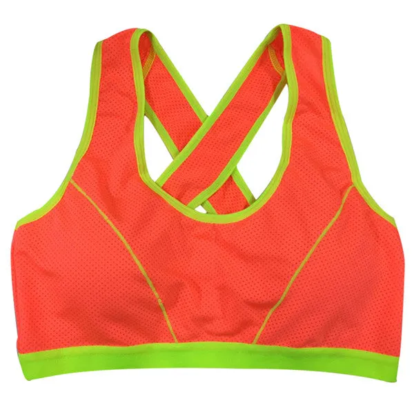 Solid Sports Bra