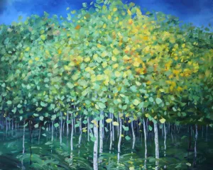 Spring Aspen
