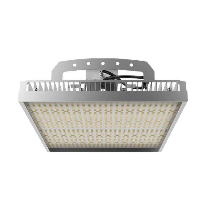 Street Light XT