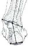 Superfeet Comfort Hockey Skate Footbeds